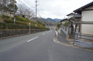 SONY DSC